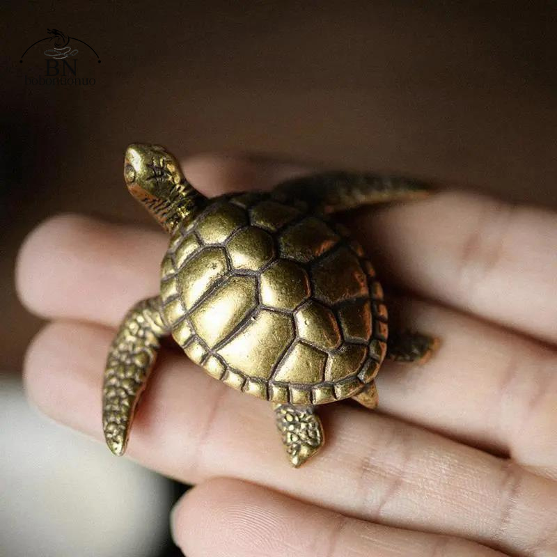 Brass Turtle Small Home Deco O - مراجعة Home Office Freelancer وسعره