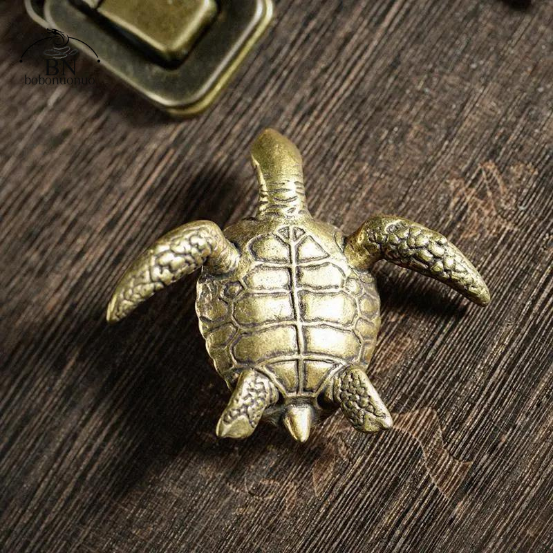 Brass Turtle Small Home Deco O - مراجعة Home Office Freelancer وسعره