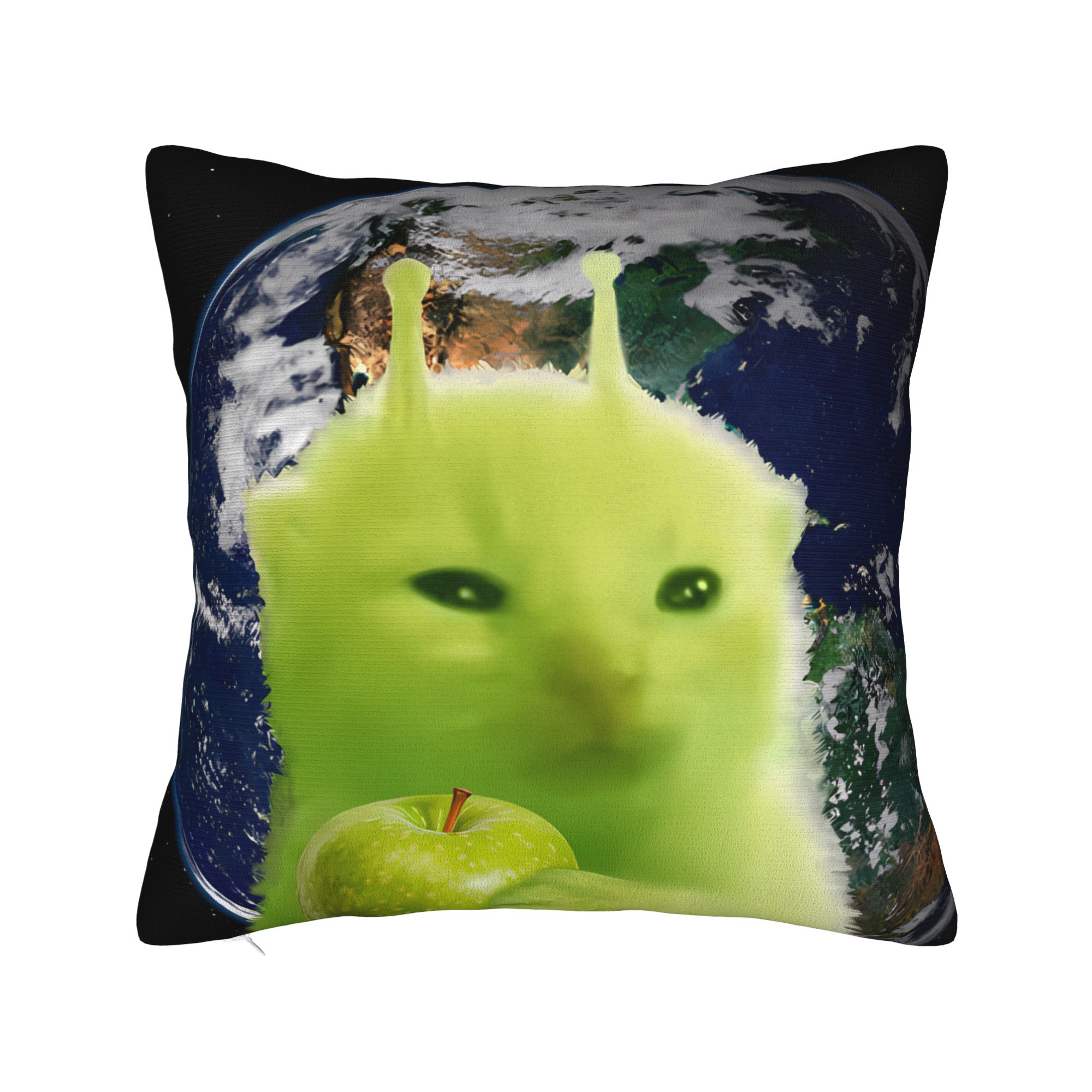 Green Alien Cat Meme Pillow Co - مراجعة Home Office Design Ideas وسعره