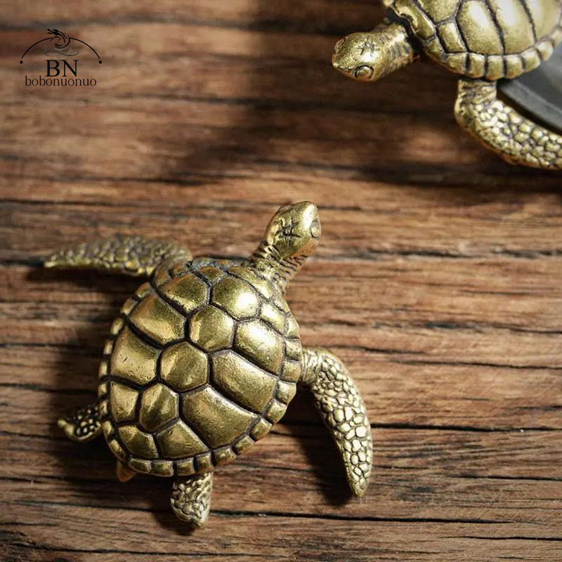 Brass Turtle Small Home Deco O - مراجعة Home Office Freelancer وسعره
