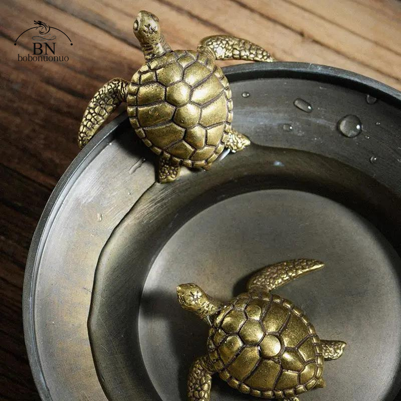 Brass Turtle Small Home Deco O - مراجعة Home Office Freelancer وسعره