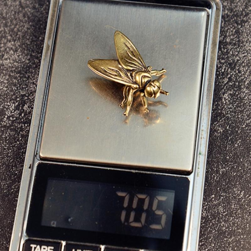 C 1PC Mini Brass Fly Insect Or - مراجعة Home Office Freelancer وسعره
